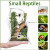 Acrylic Jumping Spider Enclosure Kit 5.9x3.5x9.4 Inches - Escape-Proof Arboreal