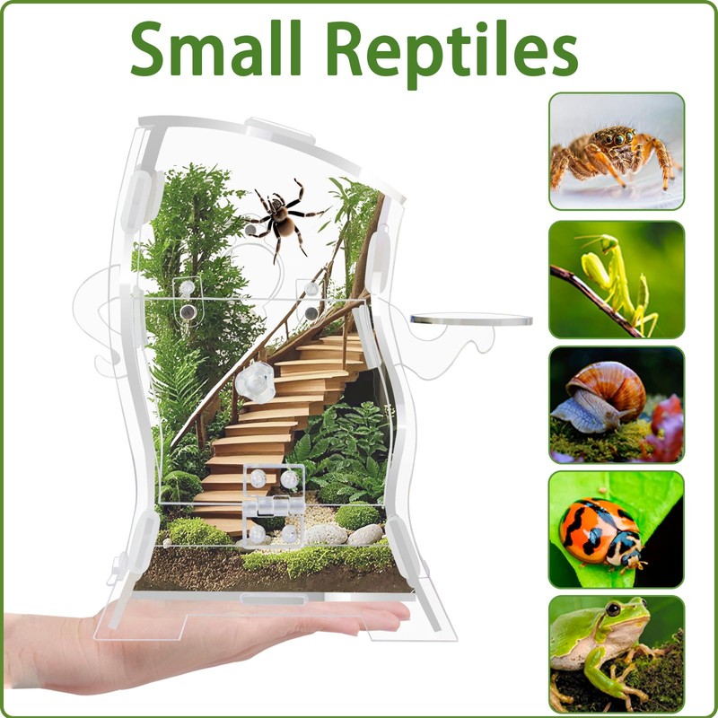 Acrylic Jumping Spider Enclosure Kit 5.9x3.5x9.4 Inches - Escape-Proof Arboreal
