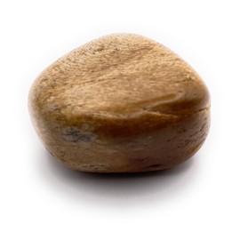 Petrified Wood Medium Crystal Tumbled Stone - 1 Pc