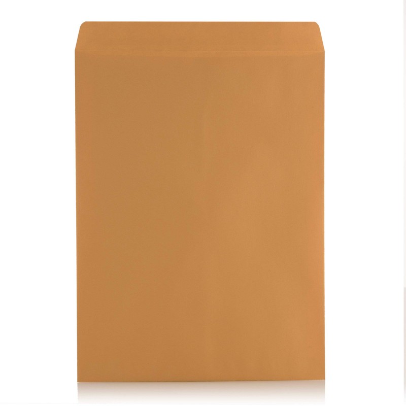 100 10 x 13 Self-Seal Brown Kraft Catalog Envelopes -