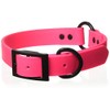 OmniPet Zeta Ring in Center Dog Collar with Black Metal