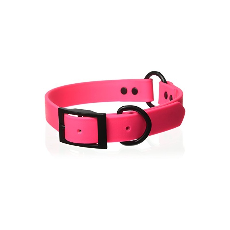 OmniPet Zeta Ring in Center Dog Collar with Black Metal