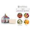 Seda France - Japanese Quince 3 Wick Candle