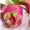Pieza Artificial Realista Pitaya Falsa Modelo Fruta Dragón Decoración Hogar