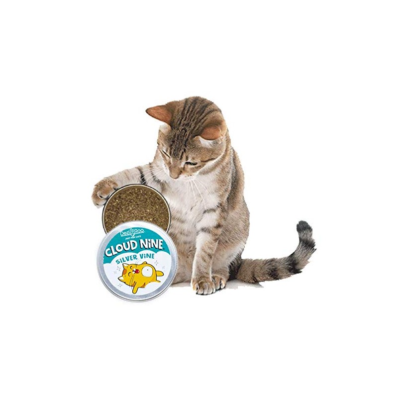 Dezi Roo Cloud Nine Silver Vine Pure Potent Powder -