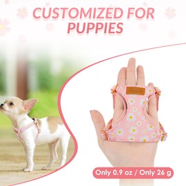 Eyein Small Dog Harness & Lead Sets, Lightweight Adjustable Soft Daisy Pattern for Extra Small Dog Harness, No Pull Escape Proof Breathable Easy Fit Puppy Vest for Small Medium Dogs Cats(M)