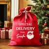 The Gift Project Special Delivery From Santa - Christmas Santa