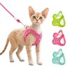 LUVMOJO Pink Cat Harness and Leash Set for Small Dogs