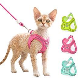 LUVMOJO Pink Cat Harness and Leash Set for Small Dogs & Kitties, Cute Easy On Easy Off Step-in Puppy Vest, Escape Proof Breathable Mesh No Choke Kitten Halter for Teacup, S Size Devon Rex, Abyssinian