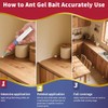 Ant Killer Gel for Indoors and Outdoors, Powerful Ant Control