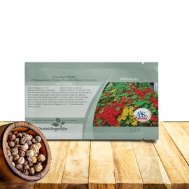 Outsidepride Double Gleam Scarlet Nasturtium Seeds - 200 pcs Annual, Dwarf, Edible, Trailing & Climbing Vine Flower Seeds for Deer Resistant Gardens, Container Plants & Hanging Baskets (AAS Winner)