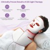 EASYINBEAUTY 7 Color LEDFace Neck Mask Light Photon Rejuvenation Skin
