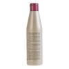 Salerm® Hi Repair Shampoo Restaura Cabello Maltratado 250 Ml