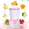 DIY Automatic Face Mask Maker Fruit Vegetable Face Mask Maker