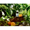Vegetology Omega 3 | Vegan Omega 3 from Microalgae |