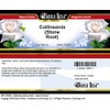 Bianca Rosa Collinsonia (Stone Root) - Salve Ointment (2 oz,