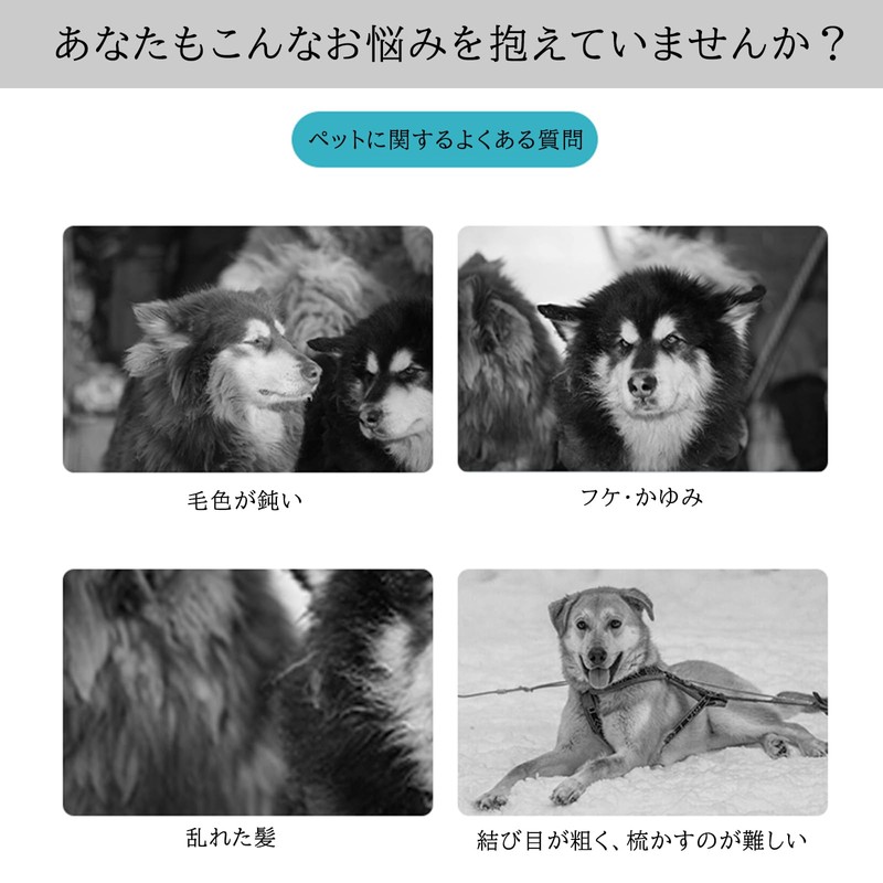 Dog Grooming Thinning Blend Scissors Ergonomic Pet Grooming Thinner Scissors