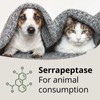 SerraPet Serrapeptase 250,000IU 90 Tablets
