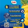 Dole Canned Fruit, Tropical Gold Pineapple Chunks in 100% Pineapple