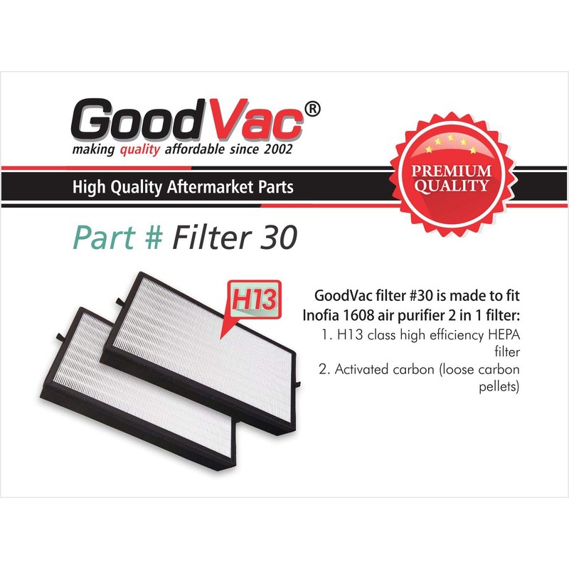 GoodVac H13 True HEPA 2-Pack Replacement Filter Kit Compatible with