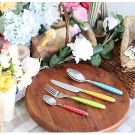 ANNOVA 24PCS Flatware Set - Stainless Steel Silverware/Cutlery with Color Handles - 6 x Dinner Forks, 6 x Dinner Knives, 6 x Dinner Spoons, 6 x Dessert Spoons - Service for 6 (Mix Color)