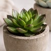 Artificial Succulent Plants in Decorative Cement-Style Pots – 5-Piece Faux