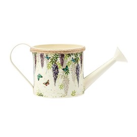 Napco Imports Indoor Outdoor Plant Succulent Herb Flower Pot 5 Inch Metal Wisteria Watering Can