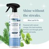 Therapy Clean Window & Glass Cleaner 24 oz. (3-Pack) –