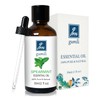 GM Gumili Spearmint Essential Oil 1 Oz, 100% Pure Natural
