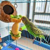 2 Stück Vogelspieß Papageienspieß Futterspender,Wellensittich, Zubehör,Spielzeug,Vogel,Vogelspielzeug,Futterkrippe, für Wellensittiche, Sittiche, Nymphensittiche