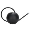 1L Stainless Steel Practical Long Mouth Watering Cans Household Houseplant