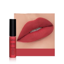 Anifer Velvet Matte Liquid Lipstick Make-Up, Long-Lasting and Waterproof, Does Not Stick to the Cup, Lip Gloss (Warm Red 614)