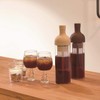 Hario Cold Brew Filter In Coffee Bottle - Brown