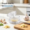 Clear Manual Garlic Twister and Ginger Mincer – Effortlessly Crush