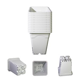 Gyfofix HG7X7SW 7"x7" Square White Pot, 9" Tall Pack of 12