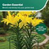 Gardman R754 Grow Through Hoops with 3 Legs, 16" Wide