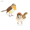 DECOWALL DS-8038 Small Birds Wall Sticker, Wall Decoration for Living