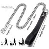 Aiyidi Dog Chain Leash, Stainless Steel Metal Link Training Leash