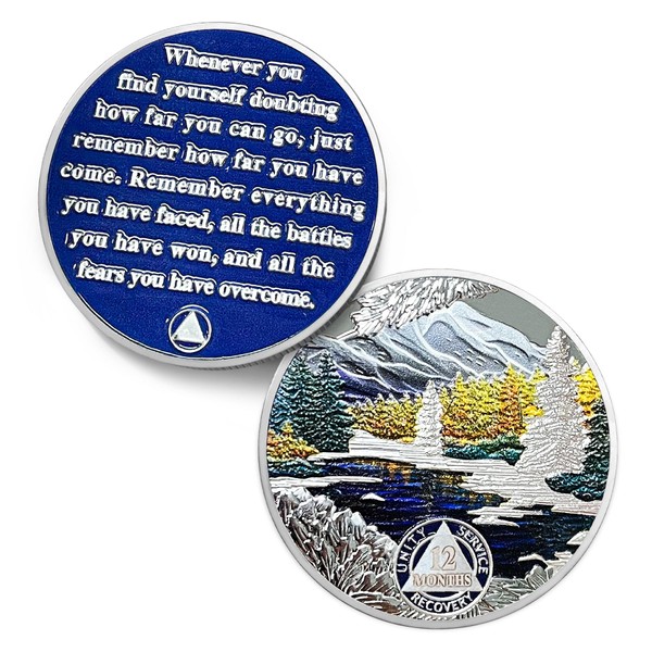 IELCJJ 12 Month Sobriety Coin，Recovery Seasonal Landscapes Sobriety Medallion -