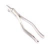 OdontoMed2011® EXTRACTION FORCEPS 65 UPPER INCISORS ALVEOLAR BONE TEETH DENTAL