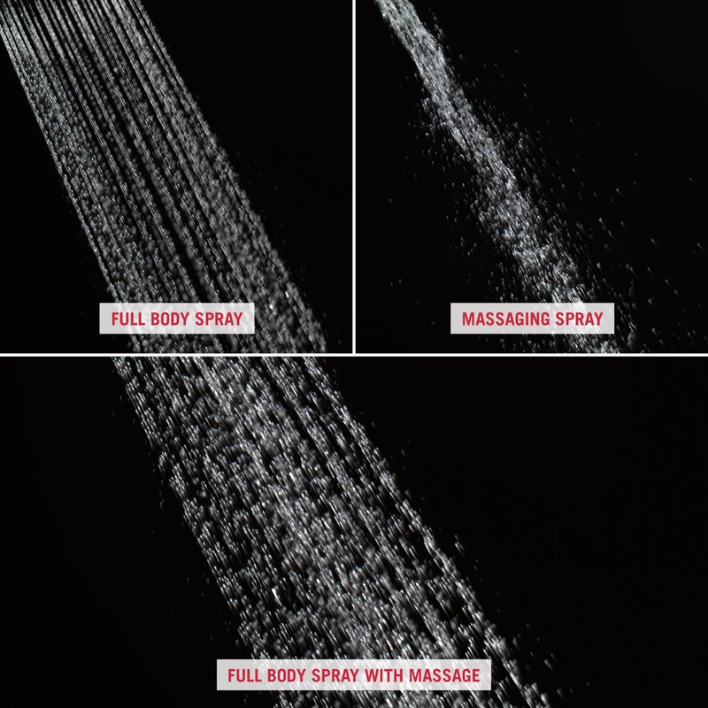 Delta Faucet Peerless 76311D Hand Shower/ Shower Head Combo Pack,