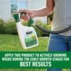 Roundup for Lawns₃ Ready-to-Spray, Tough Weed Killer for Use on