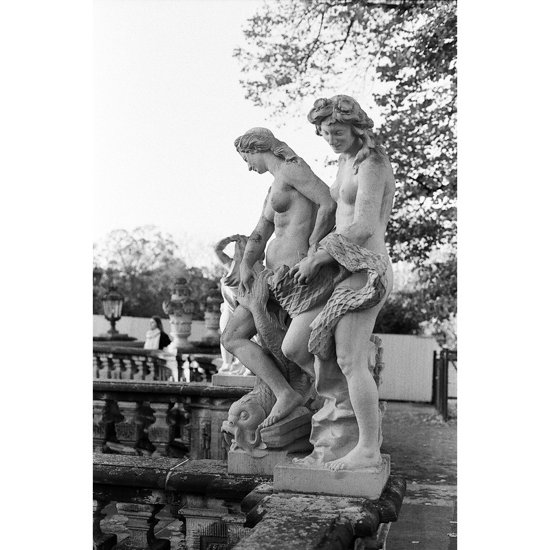 Original Wolfen (Orwo) NP100 Black / White Small Film in