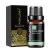 MAYJAM Essential Oil Eucalyptus Aroma Oil 100% Natural Essential Oil