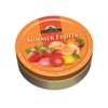 Waterbridge Travel Tin Summer Fruits 175G