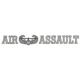 AIR ASSAULT 15" inch Window Strip ARMY Outside Decal
