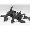 3D MENAGERIE 3D Printed Orca Whale - Articulated Multicolor Fidget