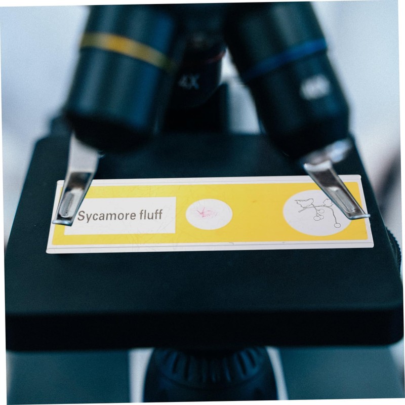 Hohopeti 12 pcs Prepared Microscope Slides for Educational Science Classroom