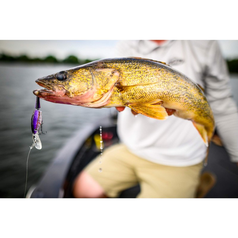 Berkley Flicker Shad Jointed Fishing Lure, Slick Purple Bengal, 1/3