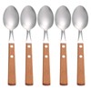 Stainless Steel Dinner Spoons, Buffet Serving Spoons Salad Serving Spoons